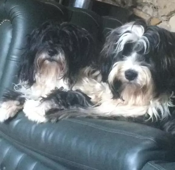 Majatalo Maison Nounette