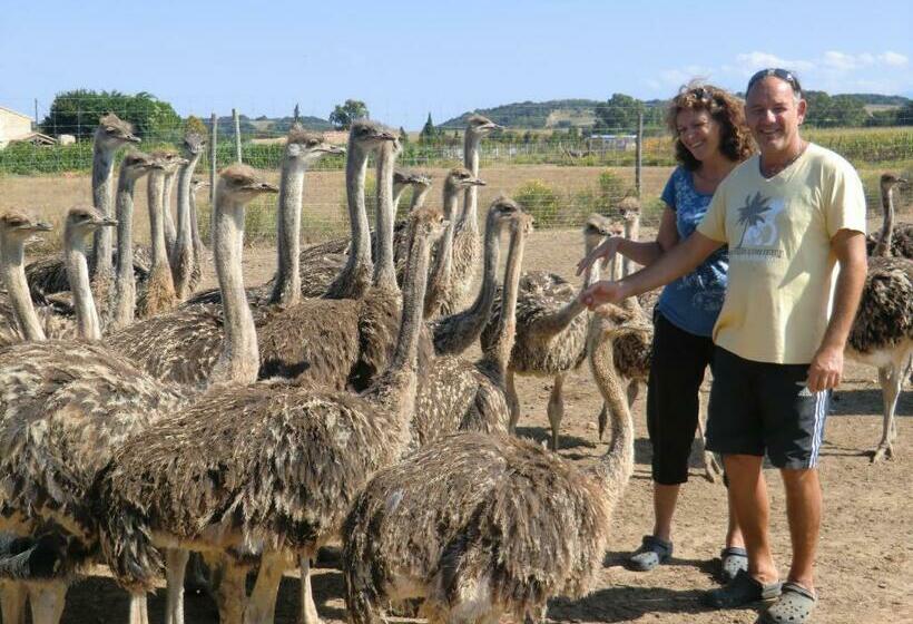 酒店 Les Roulottes Gîtes De La Ferme De L Autruche Dromoise