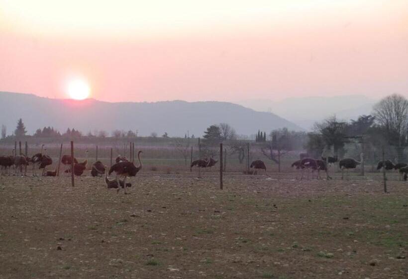 Отель Les Roulottes Gîtes De La Ferme De L Autruche Dromoise