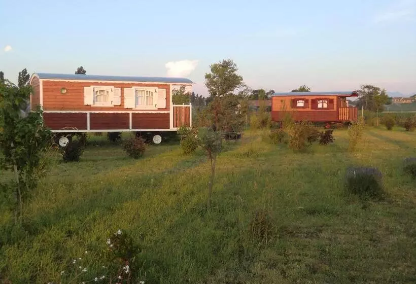 ホテル Les Roulottes Gîtes De La Ferme De L Autruche Dromoise