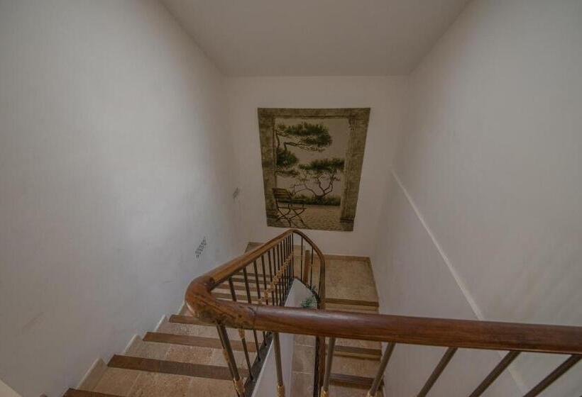 膳宿费 La Treille Et L'impasse