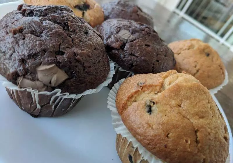 Majatalo Cribyn Lodge