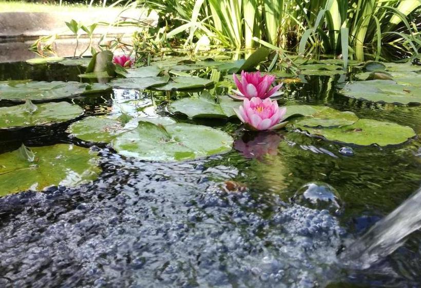 膳宿费 Domaine Du Vern