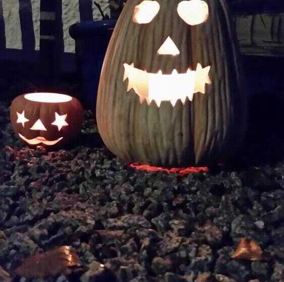 بنسيون Mandeley Guest House