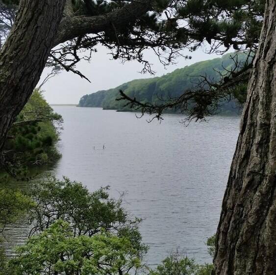 بنسيون Mandeley Guest House