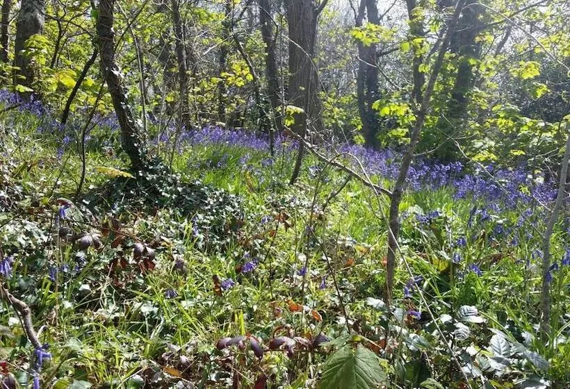 Majatalo Mandeley Guest House