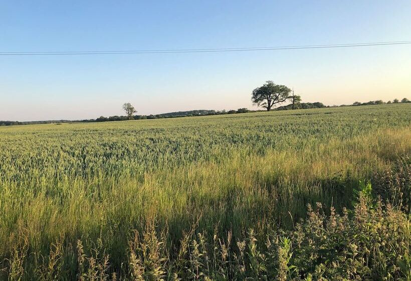 בית מלון כפרי Moo Cow Cottage Self Catering