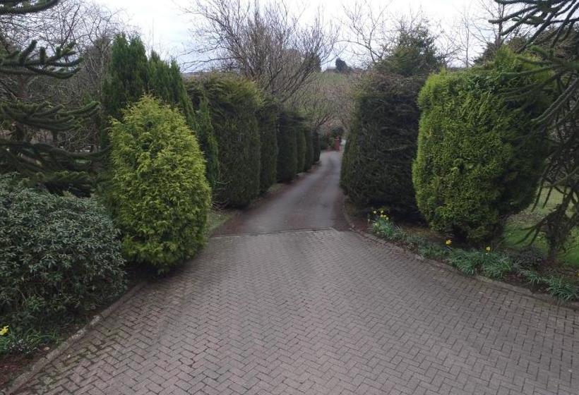 Пансион Pinewood Lodge Guest House