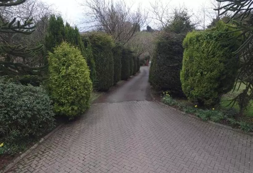 Majatalo Pinewood Lodge Guest House