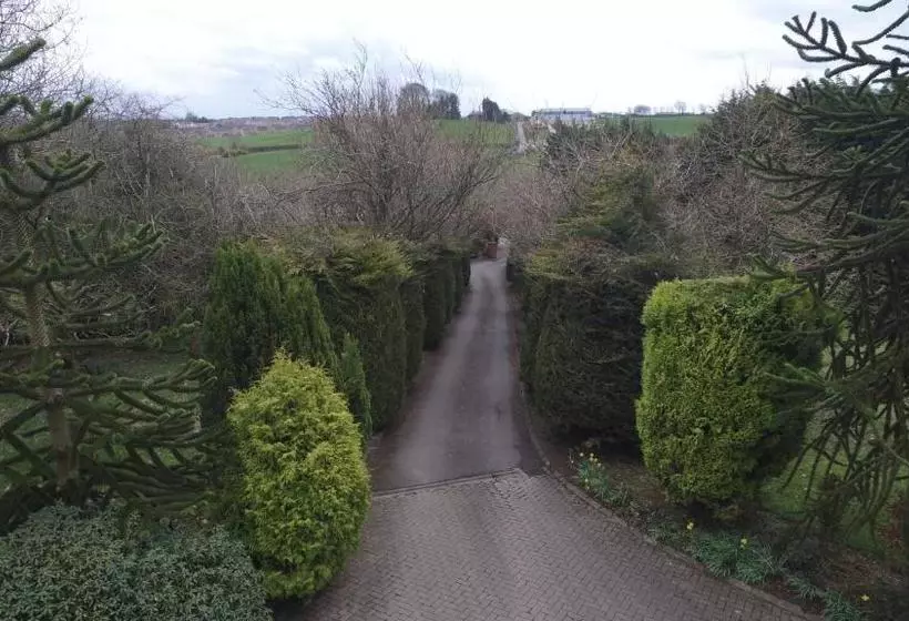 Majatalo Pinewood Lodge Guest House