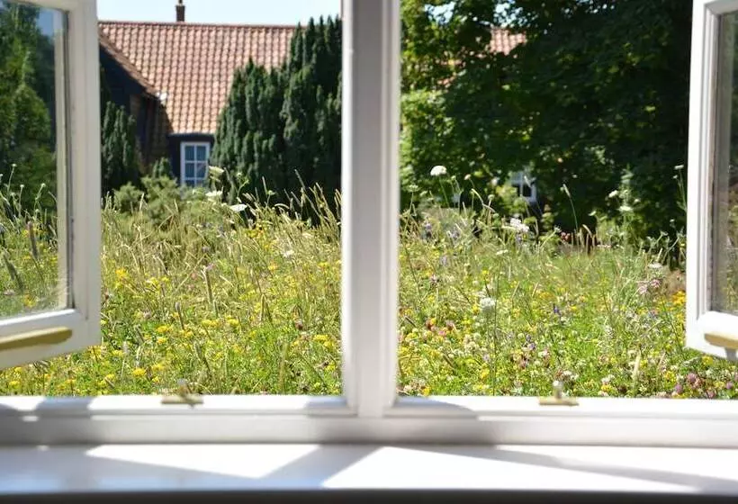 Retkeilymaja The Dolphin Inn