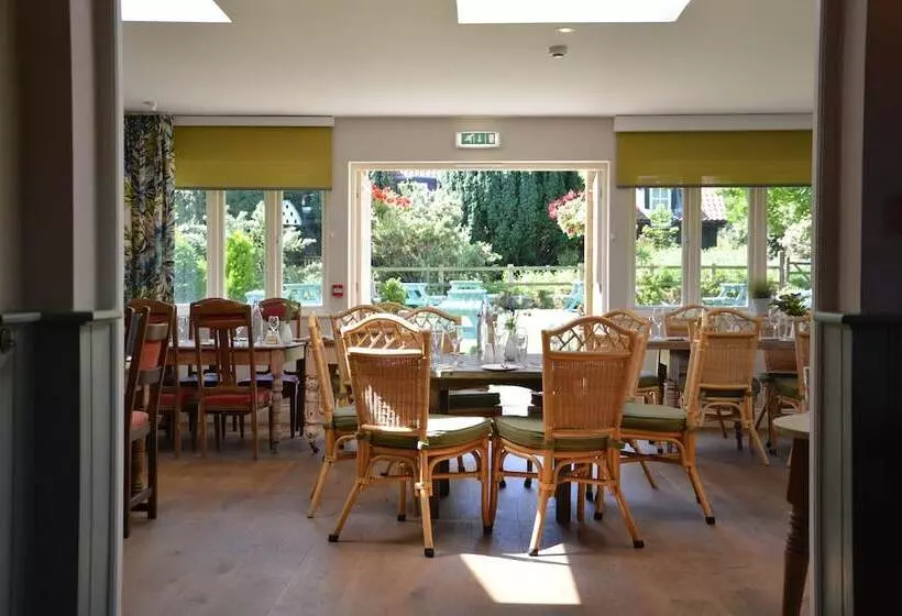 Retkeilymaja The Dolphin Inn