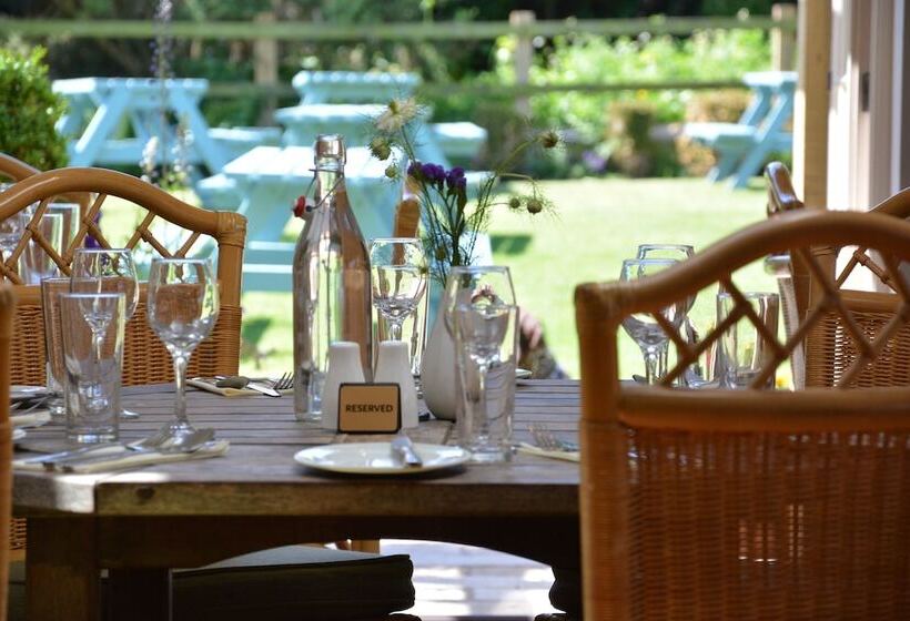 הוסטל The Dolphin Inn