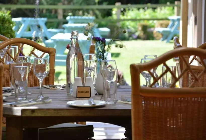 Retkeilymaja The Dolphin Inn