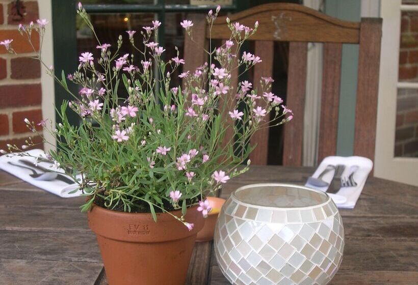 הוסטל The Dolphin Inn