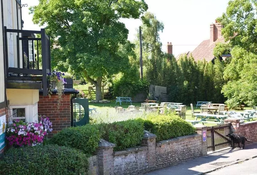 Retkeilymaja The Dolphin Inn