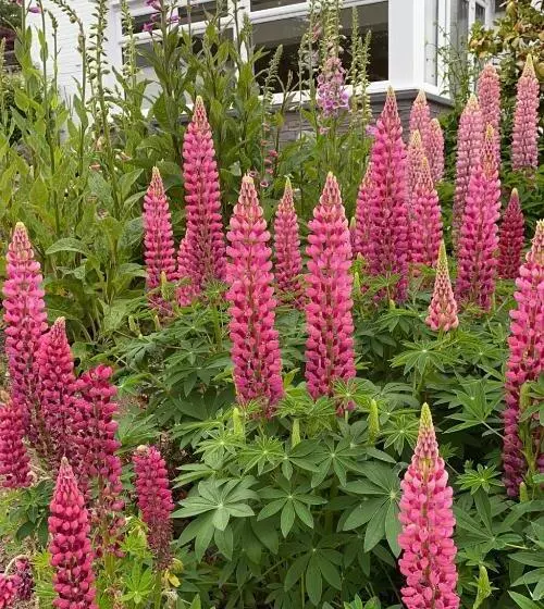 Majatalo Stables Guest House