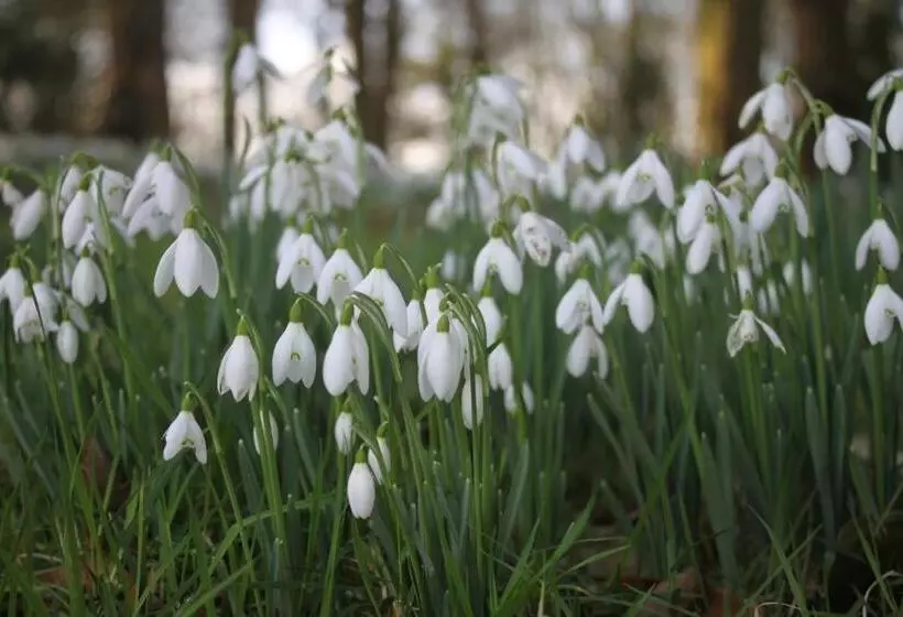 Majatalo Stables Guest House