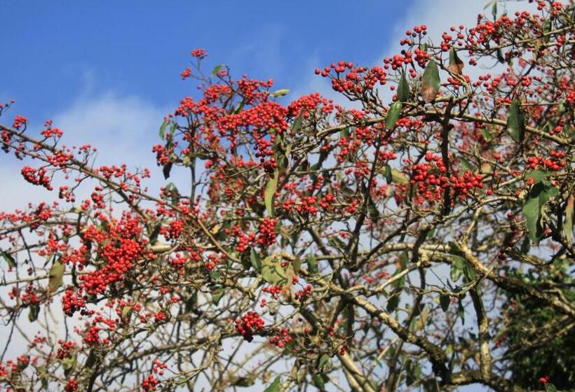 Pansiyon Stables Guest House