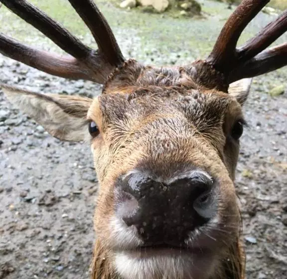 Majatalo Stables Guest House