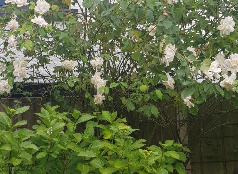 펜션 Victoria House