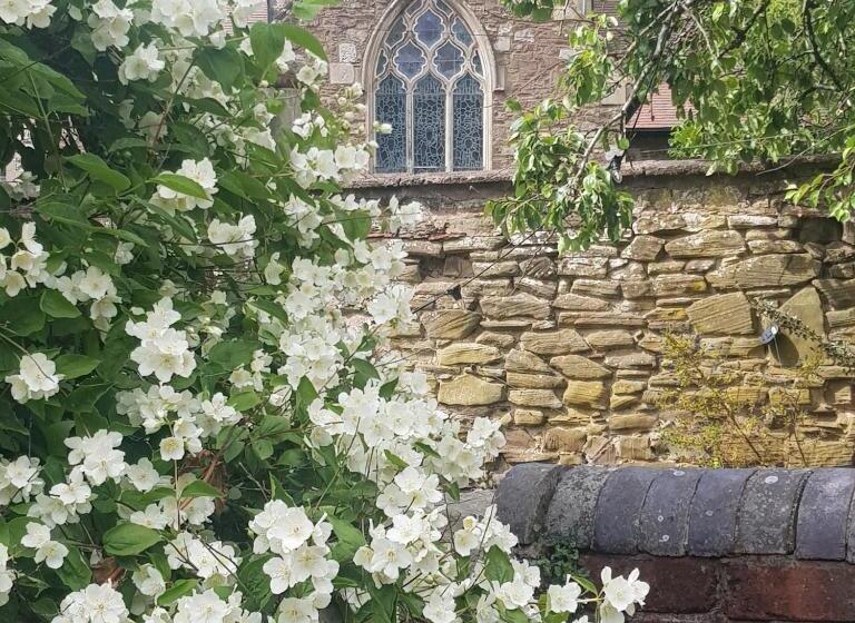 펜션 Victoria House