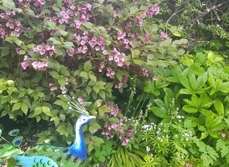 펜션 Victoria House