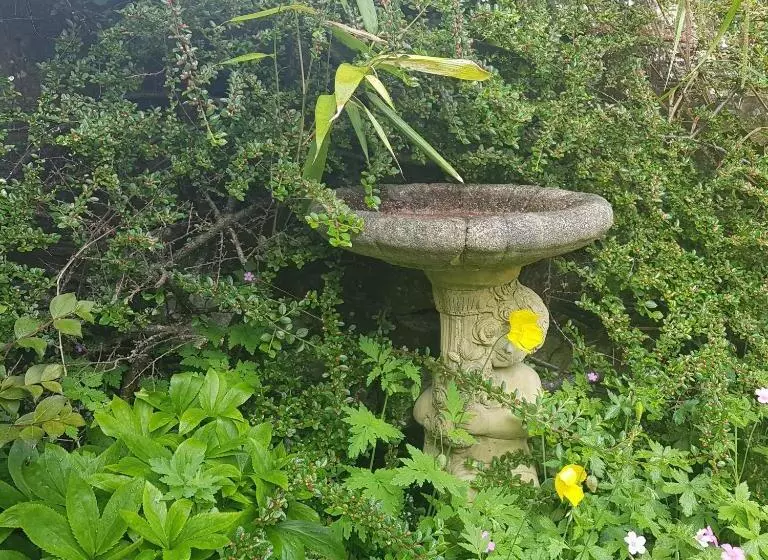 Majatalo Victoria House