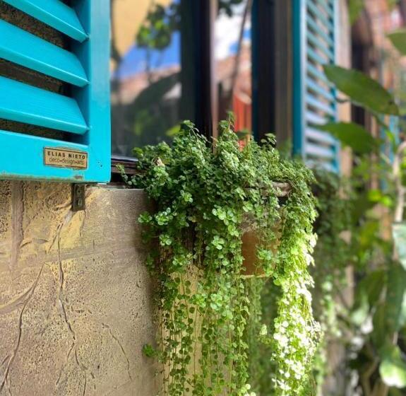 Velvet Hotel Centro Histórico