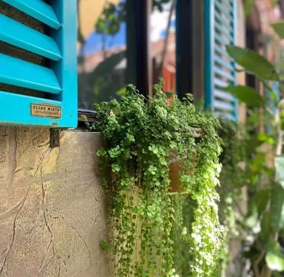 Velvet Hotel Centro Histórico