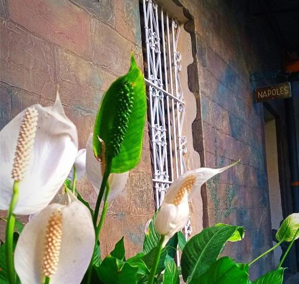 Velvet Hotel Centro Histórico