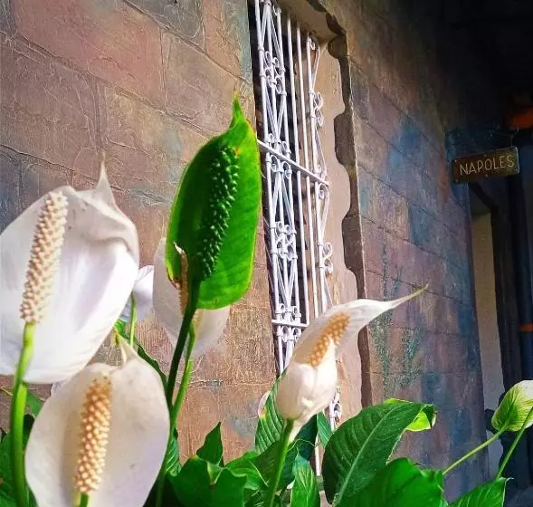 Velvet Hotel Centro Histórico