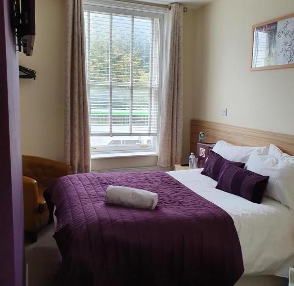 호스텔 The Flowerpot