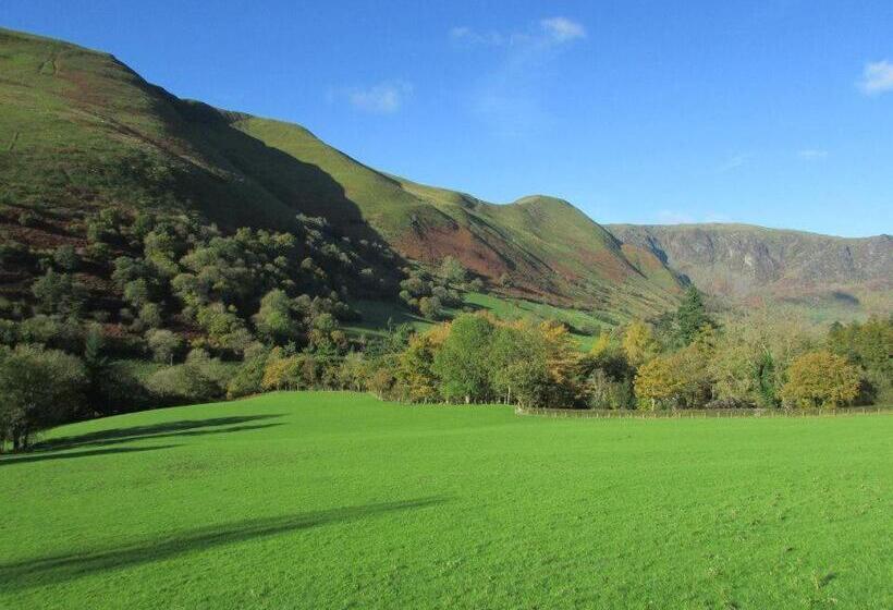 Отель Bryn Sion Farm