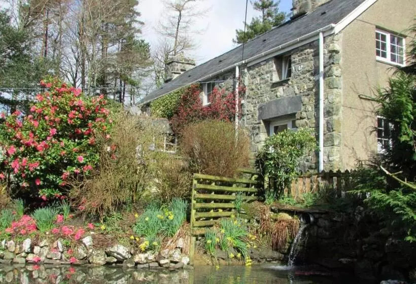 ホテル Bryn Sion Farm