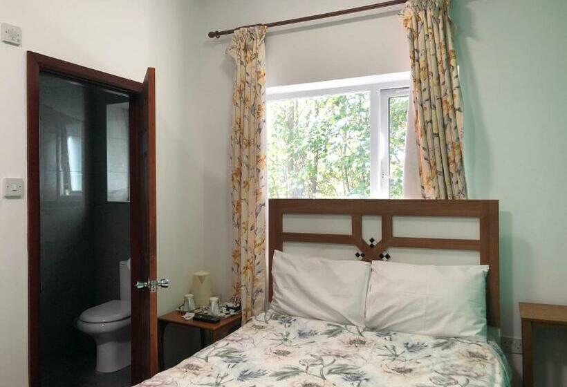 膳宿费 Lyttleton Lodge