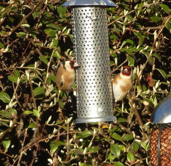 פנסיון The Kenmore Guest House