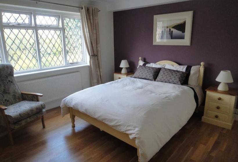 بنسيون The Oaks Guest House