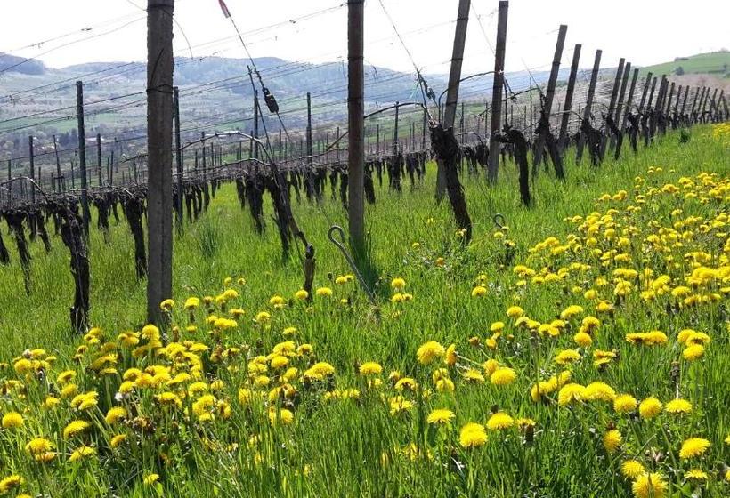 פנסיון Ferienhaus Stein