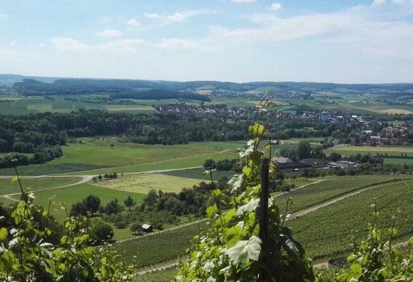 פנסיון Wein Appartements Borth