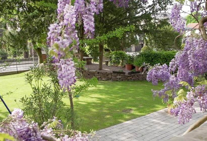 Общежитие Gastehaus Musmann