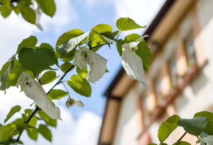 Retkeilymaja Gastehaus Musmann