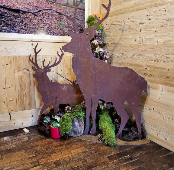 Pension Zum Alten Rathaus