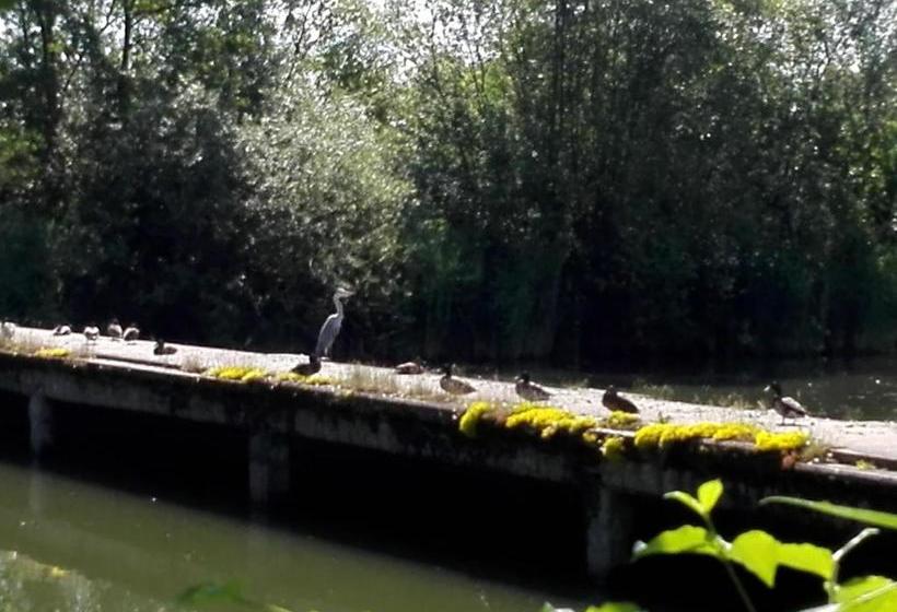 Altstadt Pension Zaremba