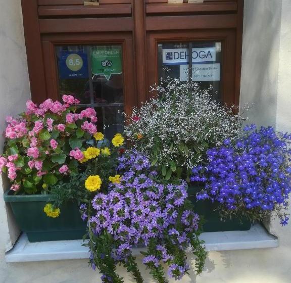 Altstadt Pension Zaremba