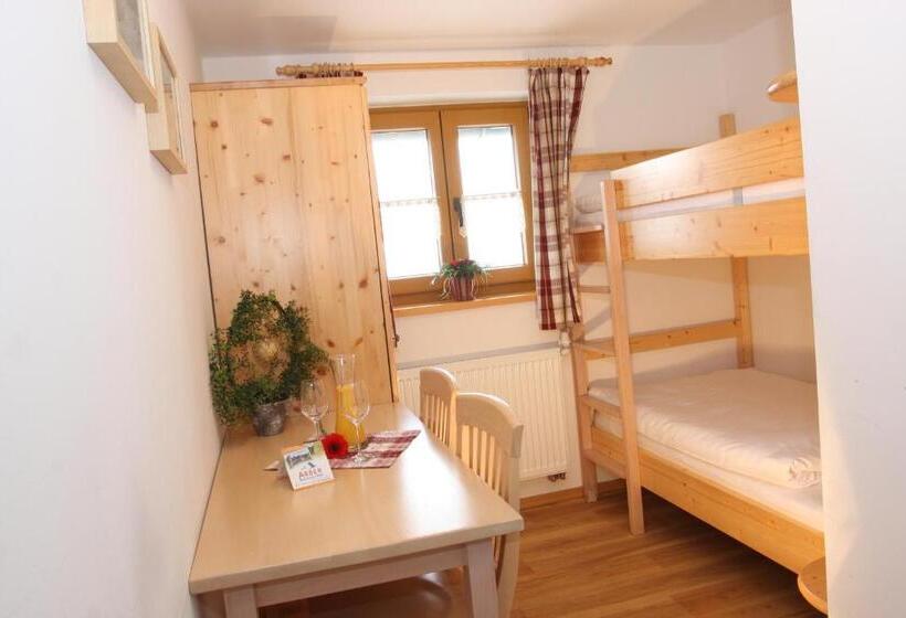 بنسيون Arberschutzhaus