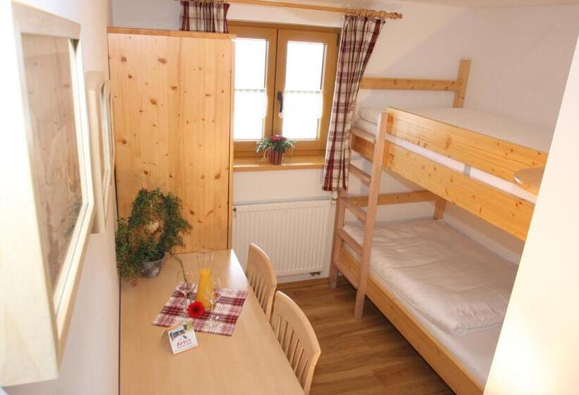 بنسيون Arberschutzhaus