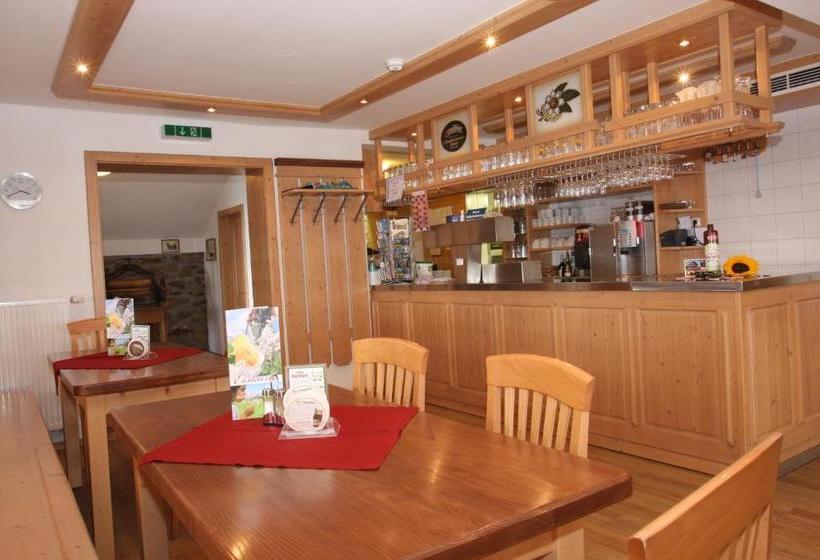 بنسيون Arberschutzhaus