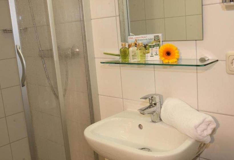 بنسيون Arberschutzhaus