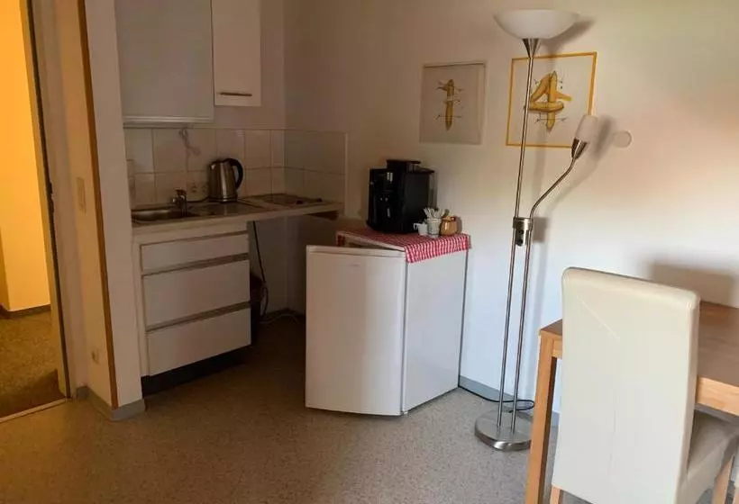 Majatalo Gästehaus An Der Rheinbrücke